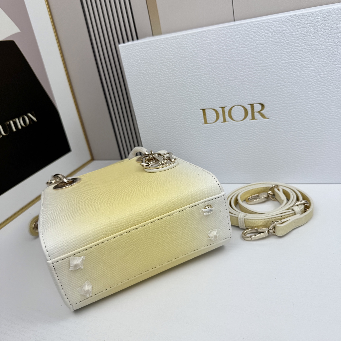 Dior迪奥戴妃包蜥蜴纹可可爱爱 小巧玲珑 优雅精致 仙女必备款尺寸：17.8.15