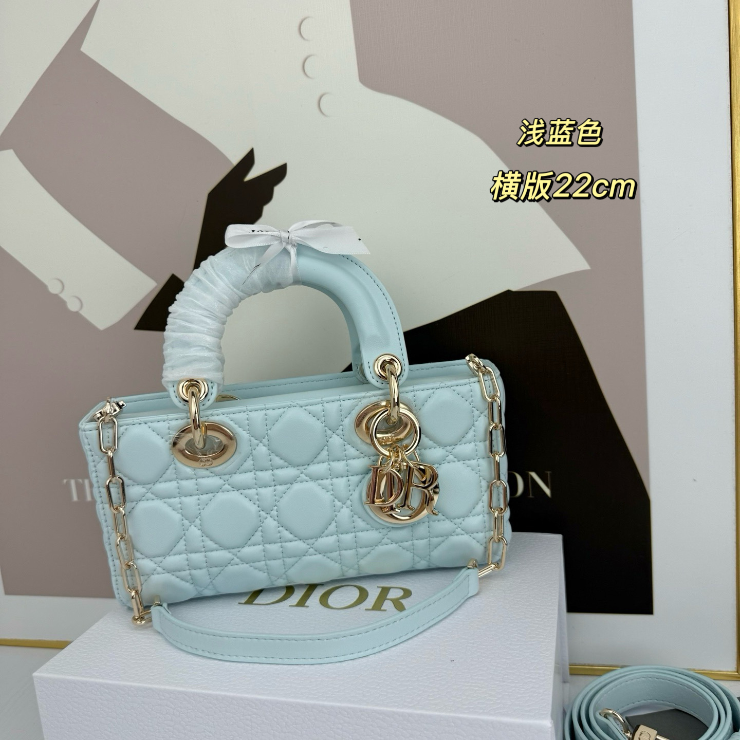 Dior Lady D-Joy Light blue 22cm crossbody everyday