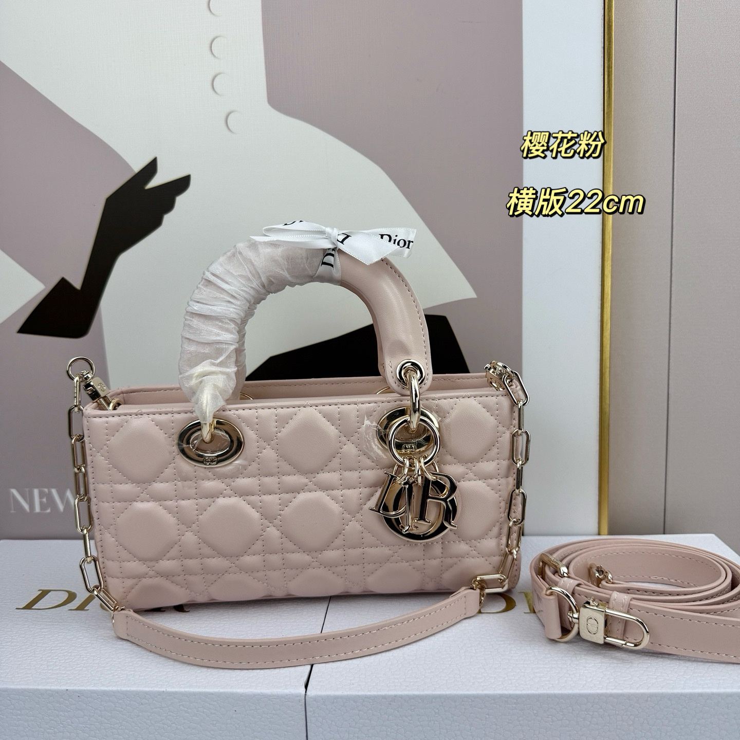 Dior Lady D-Joy Light pink 22cm shoulder everyday