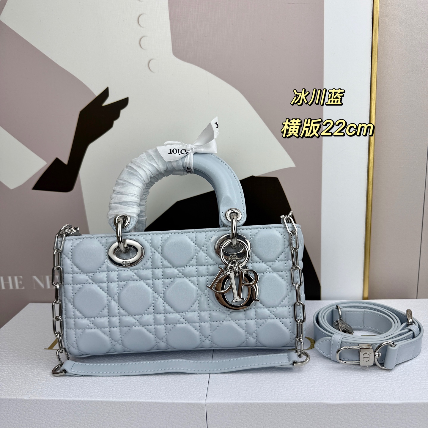 Dior Lady D-Joy Light Blue 22cm shoulder everyday