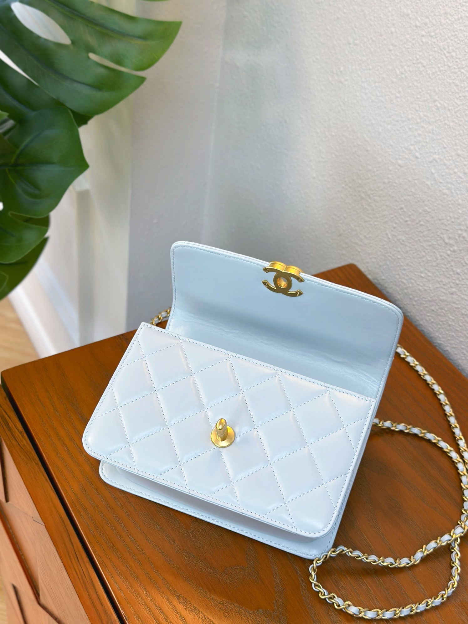Chanell Gold Ball Chain Bag, Luxurious Leather, Adjustable Chain, Perfect Size 8 a1746870981181 7250