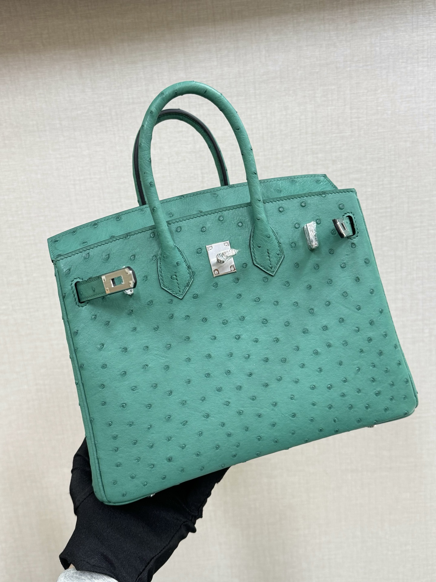 Hermes Birkin Turquoise ostrich 25 everyday shoulder