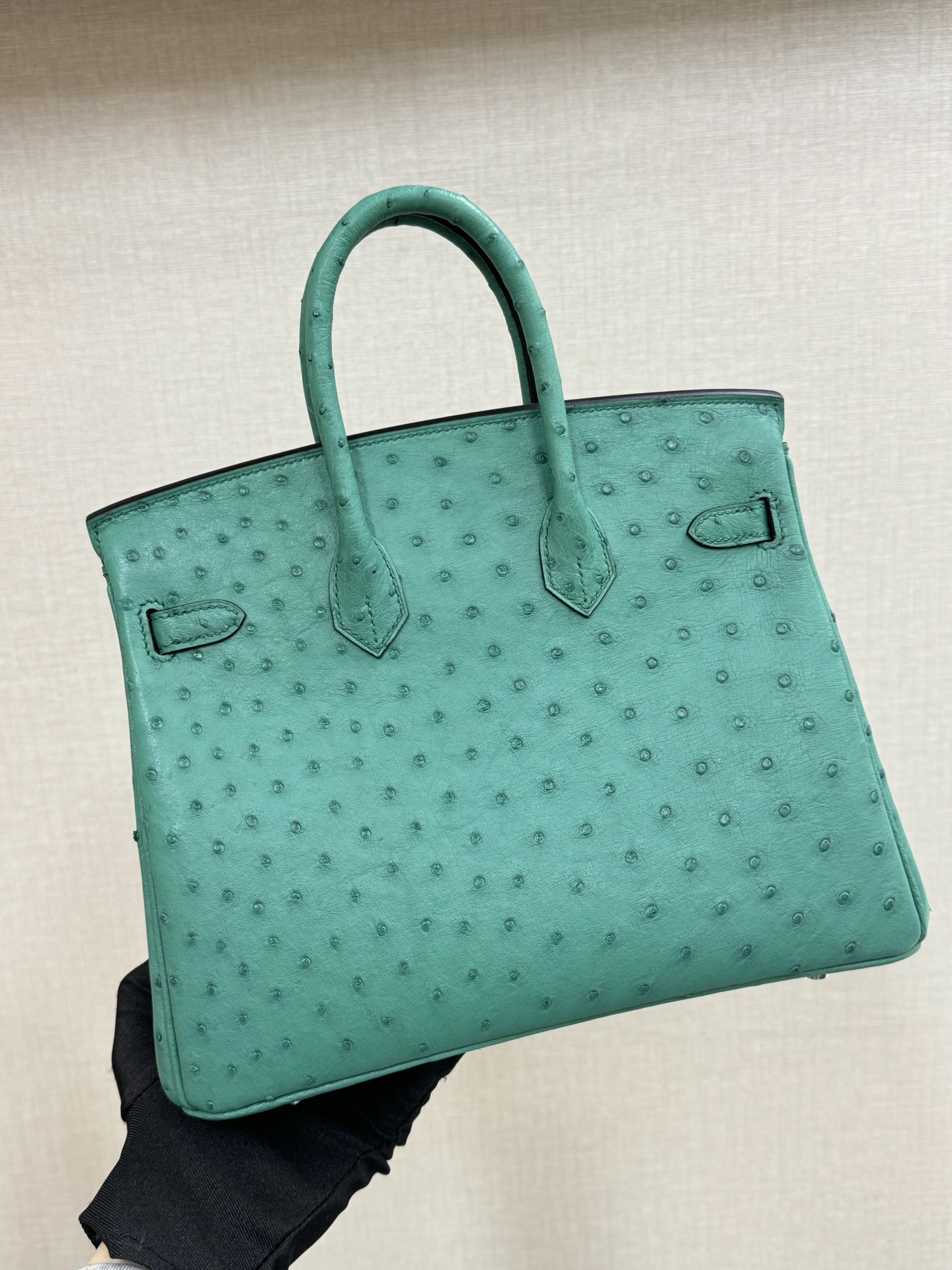 Hermes Birkin Turquoise ostrich 25 everyday shoulder