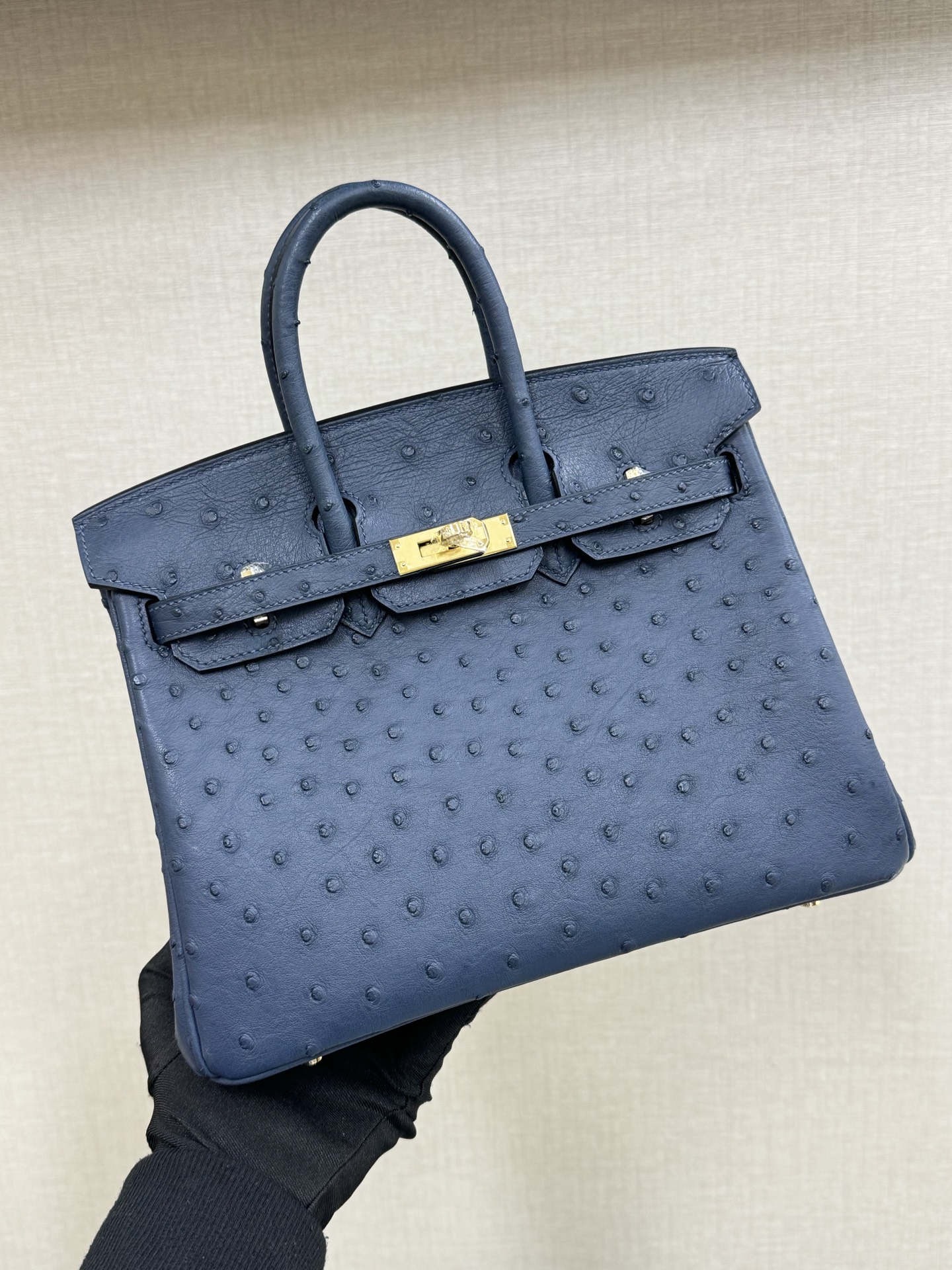 Hermes Birkin 25 Blue 25cm everyday