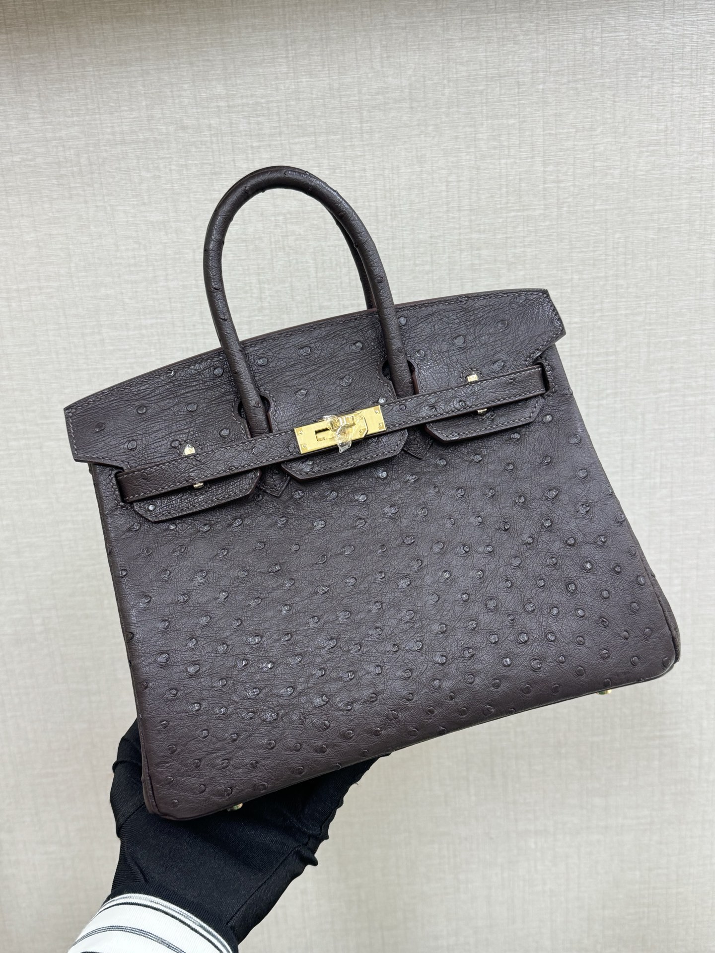 Hermes Birkin 25 Dark Brown Ostrich 25cm everyday