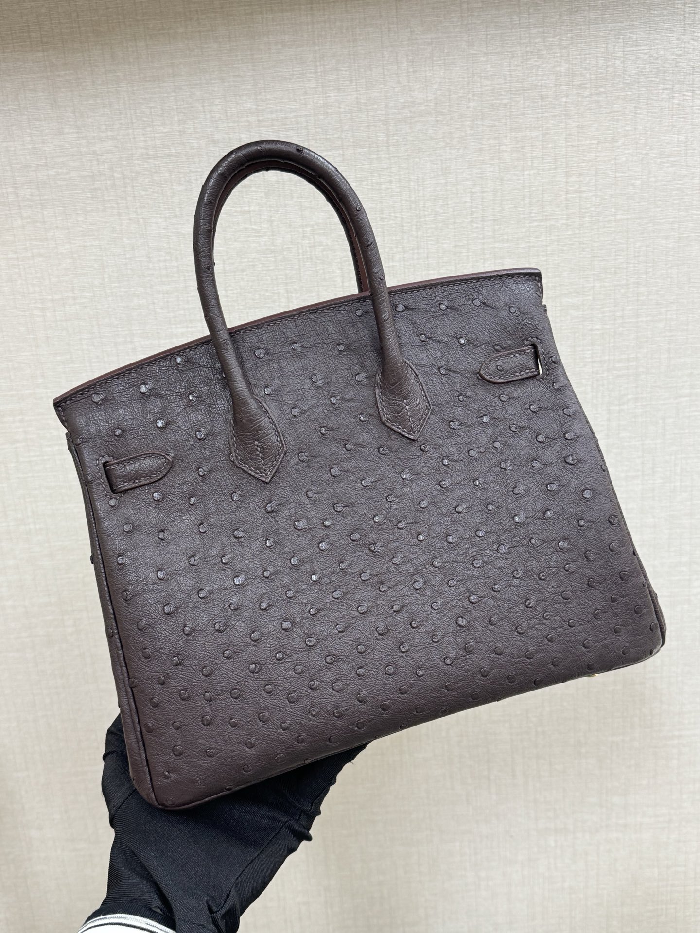 Hermes Birkin 25 Dark Brown Ostrich 25cm everyday