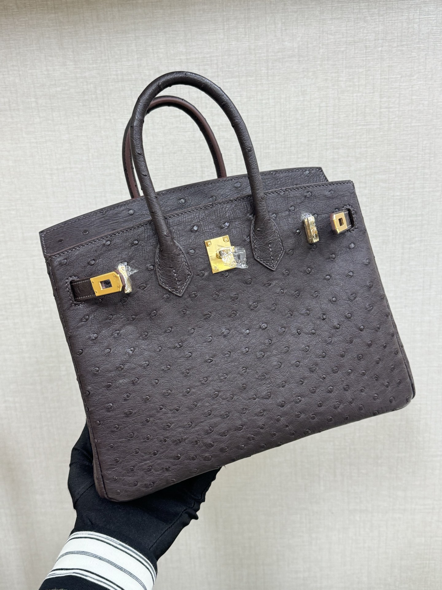 Hermes Birkin 25 Dark Brown Ostrich 25cm everyday
