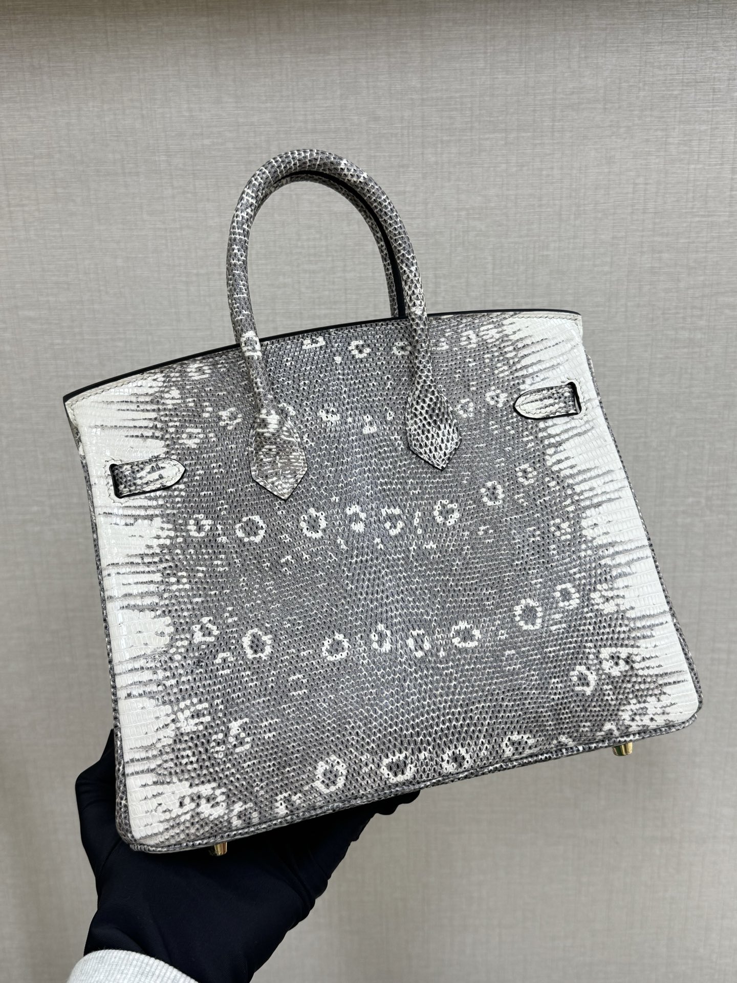 Hermes Birkin 25 Gray White Lizard 25cm everyday