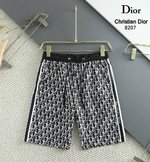 What best replica sellers
 Dior Clothing Shorts Polyester Summer Collection Beach