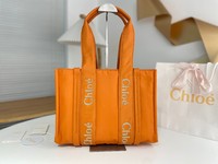 Chloe Tote Bags Apricot Color Black Elephant Grey Embroidery Nylon Woody
