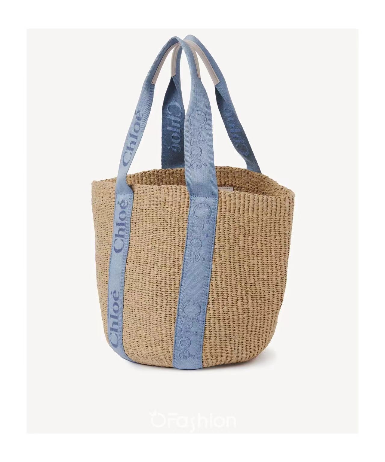 Chloé Blue and pink color combination Vegetable basket