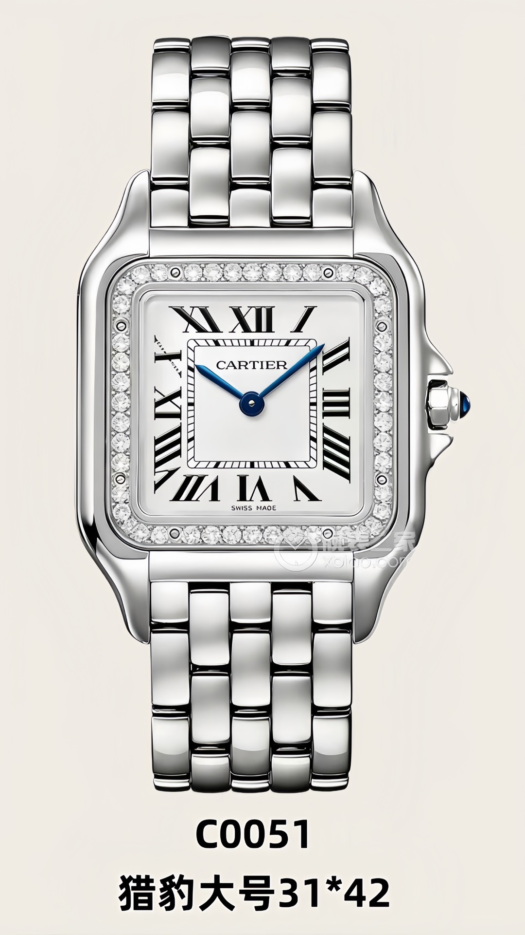 猎豹大号31*42新款隆重上市🎉🎉🎉