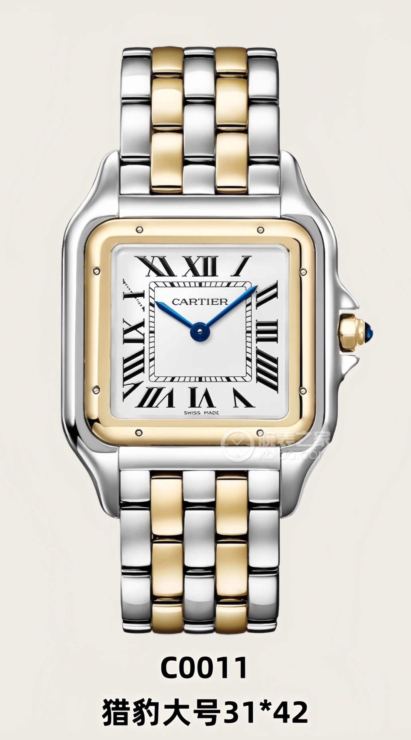 猎豹大号31*42新款隆重上市🎉🎉🎉