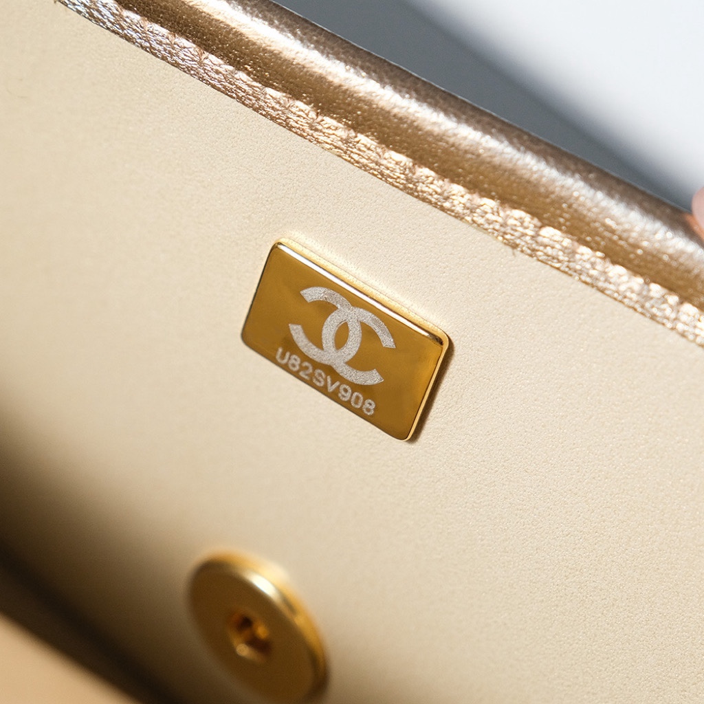 Chanel Luxury Handbag Collection 9
