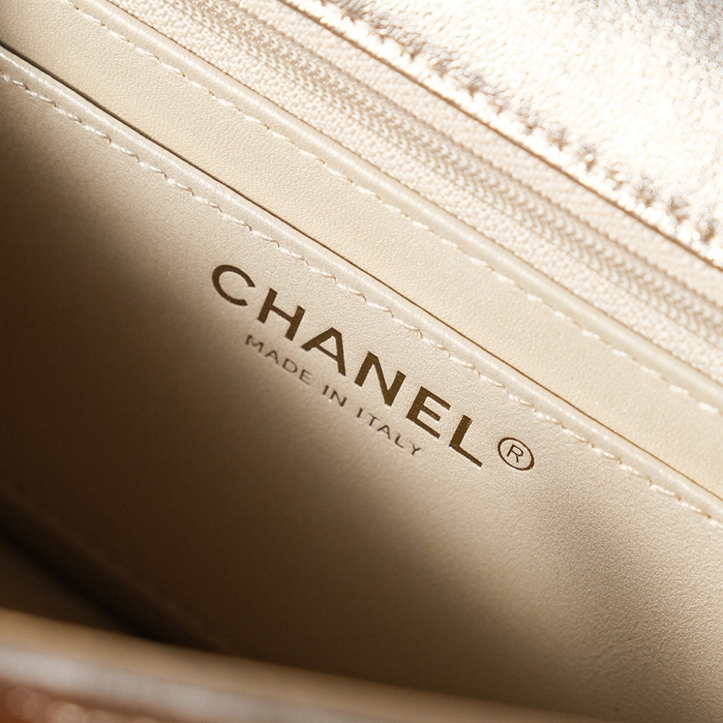 Chanel Luxury Handbag Collection 8