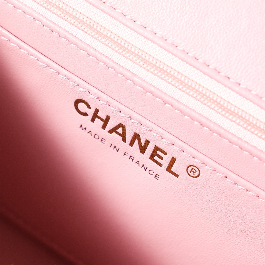 Chanel Luxury Handbag Collection 8