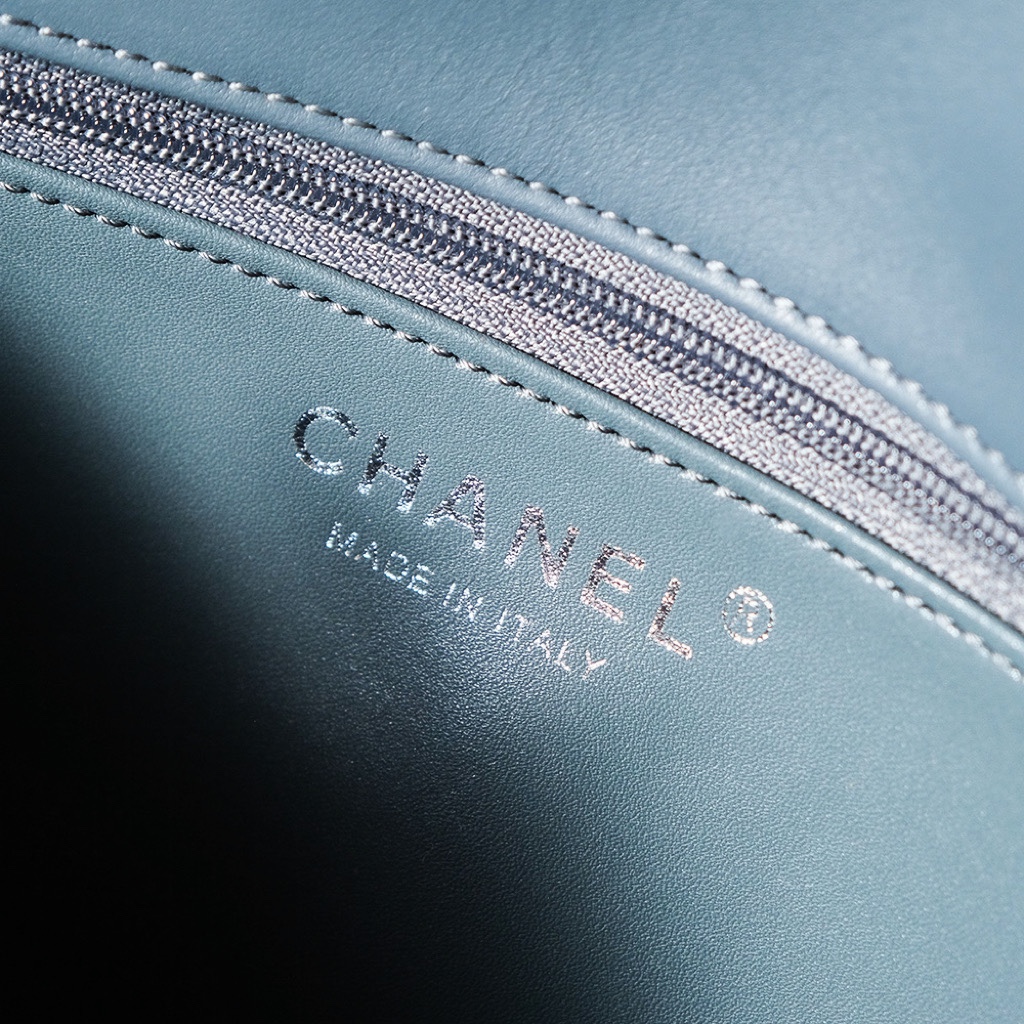 Chanel Luxury Handbag Collection 8
