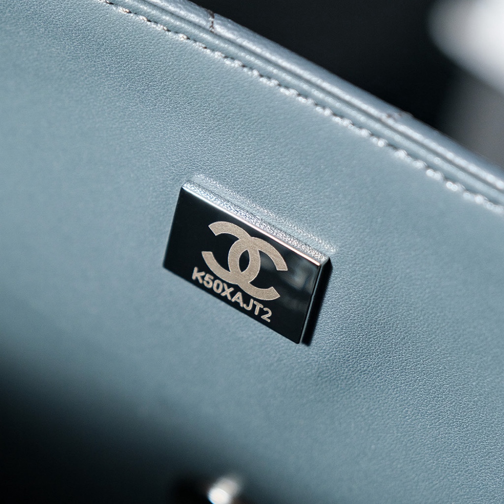 Chanel Luxury Handbag Collection 9