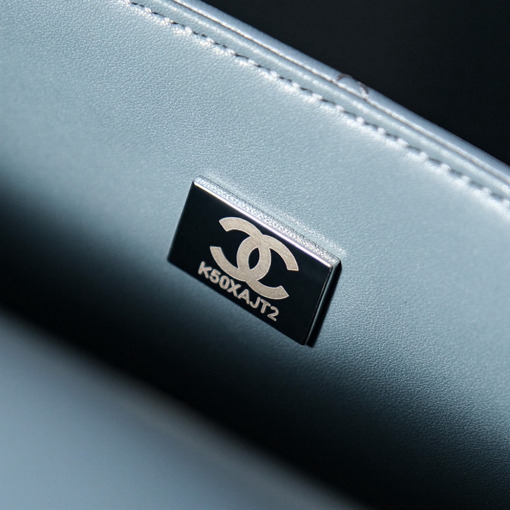 Chanel Luxury Handbag Collection 9