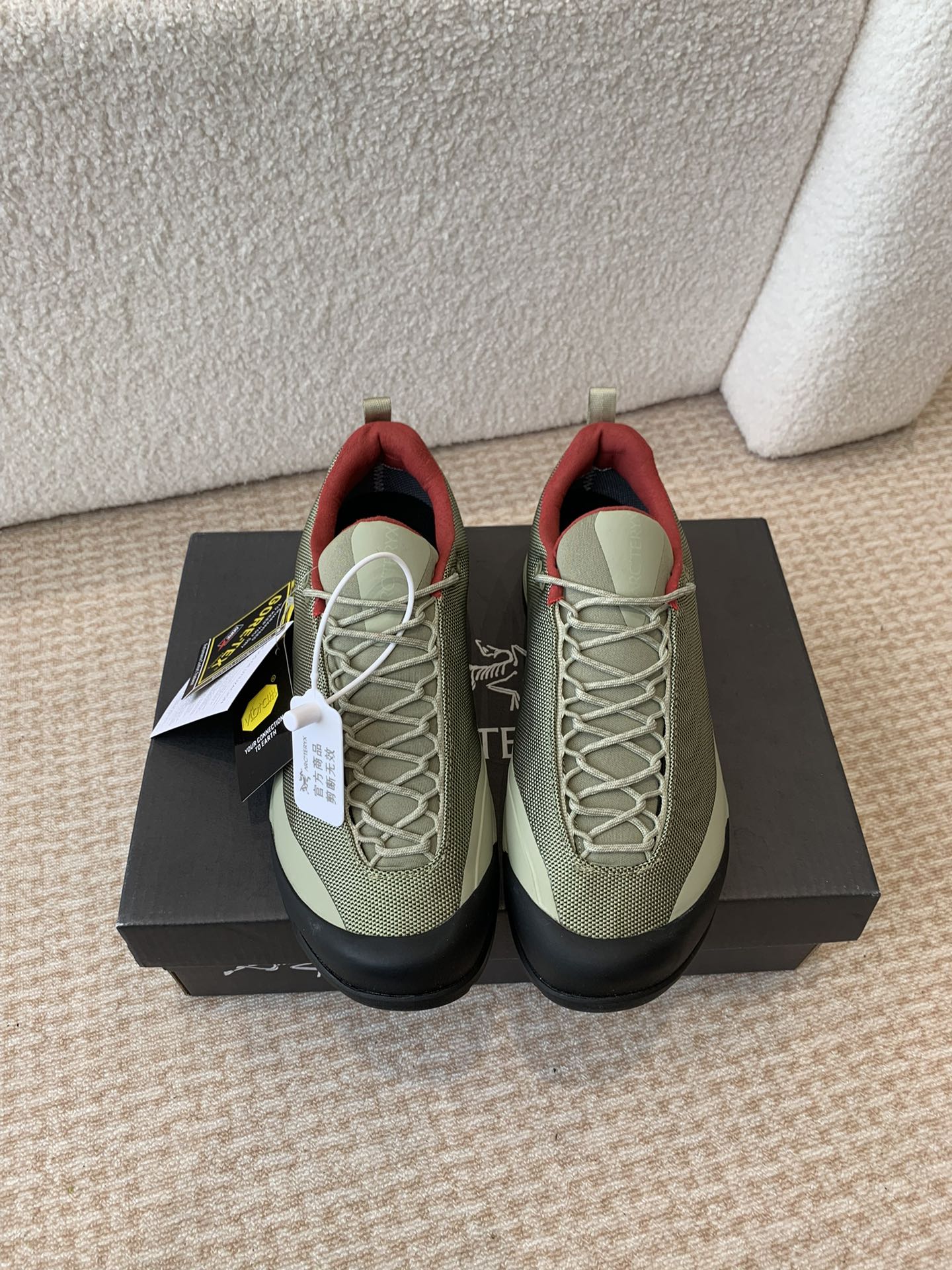 ARCTERYX P693 Synthetic Box Packaging Shoe with TPU Chassis and Tear-Proof Net - 图片 1