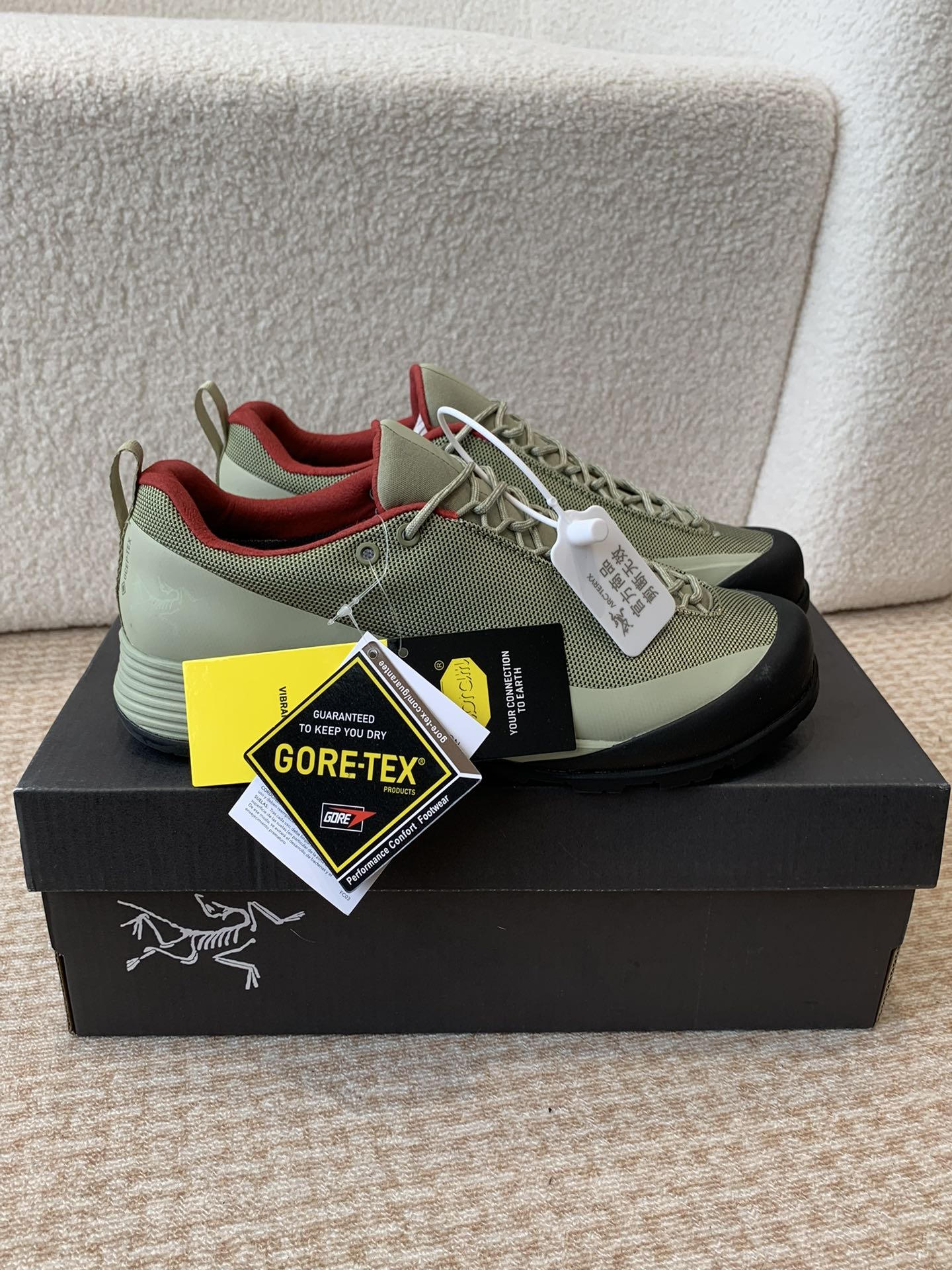 ARCTERYX P693 Synthetic Box Packaging Shoe with TPU Chassis and Tear-Proof Net - 图片 2