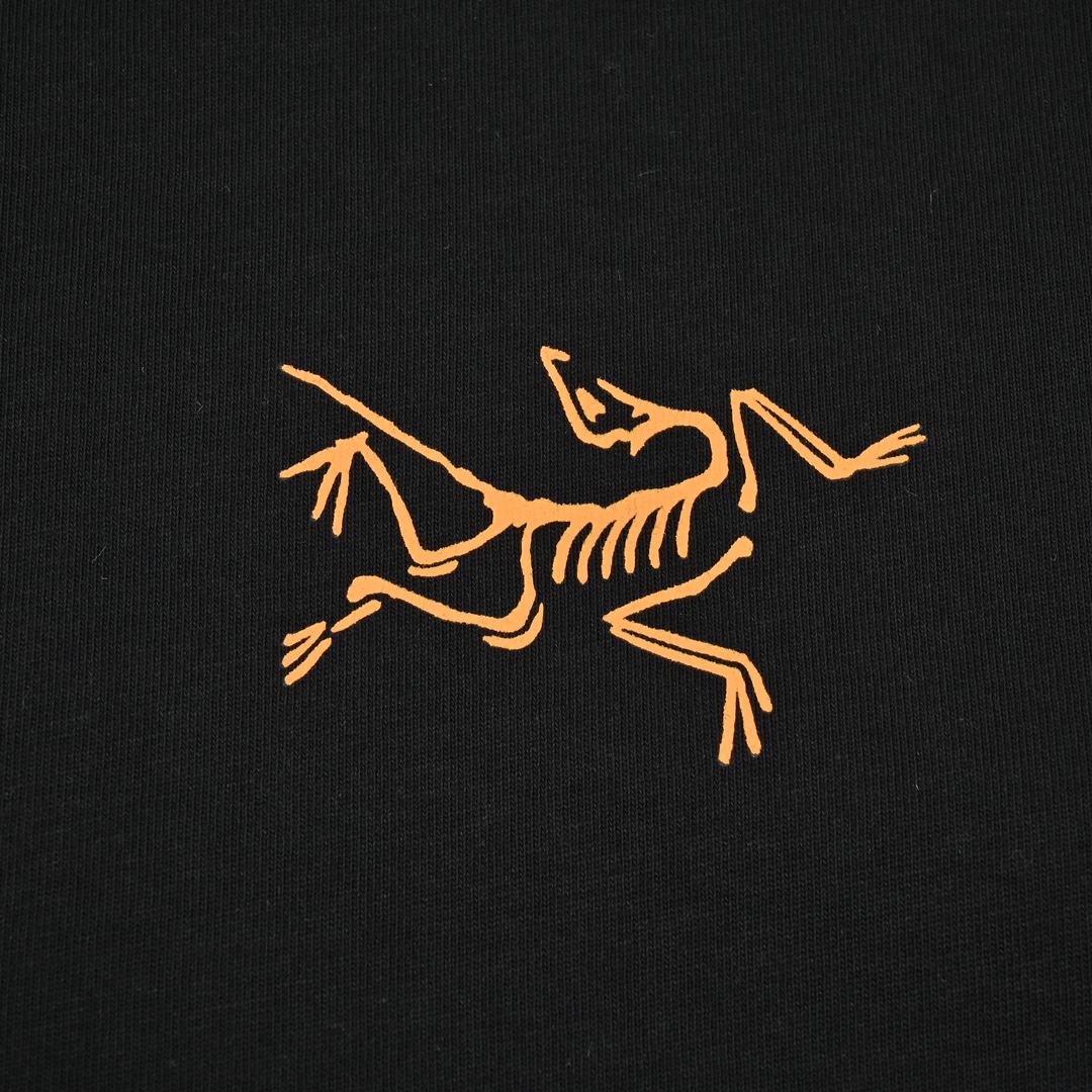 Arcteryx Multi Bird Logo 始祖鸟金标T恤