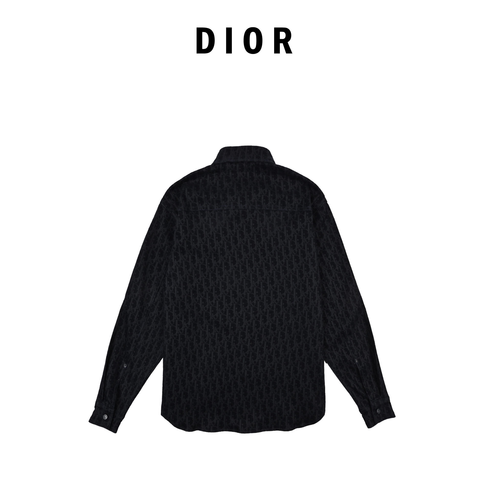 Dior迪奥25SS蛇年限定牛仔外套