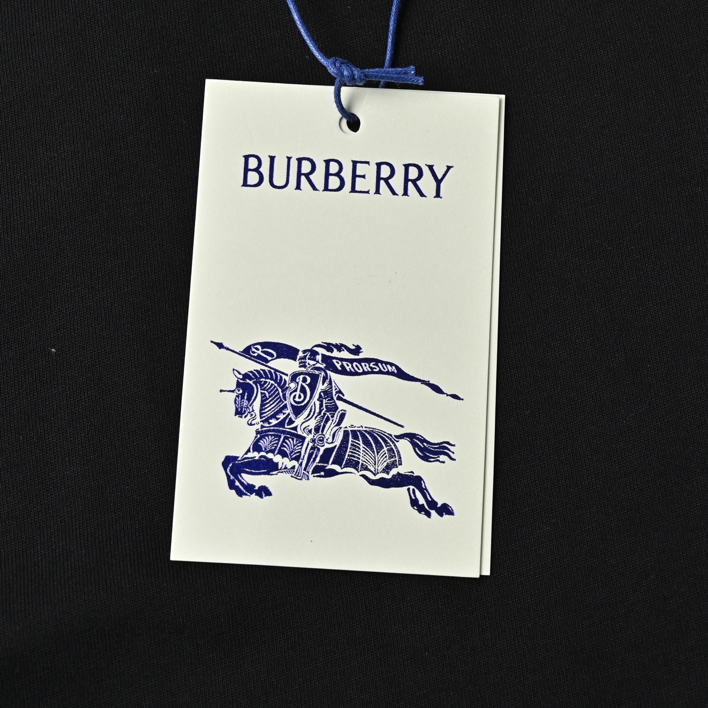 巴宝莉小战马 Burberry巴宝莉24ss经典刺绣战马小标圆领短袖