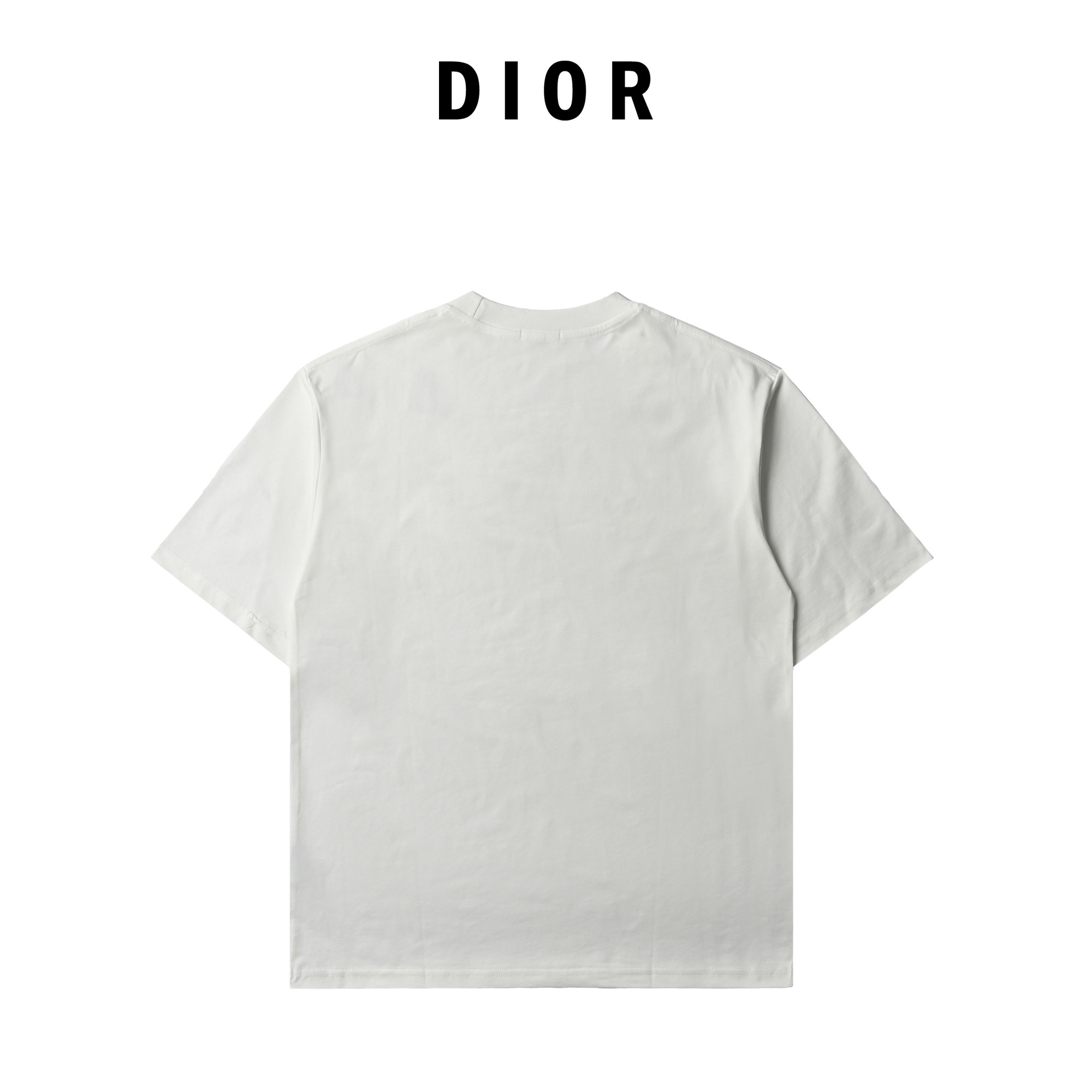 Dior/迪奥 And Hylton Nel联名 标语刺绣短袖T恤