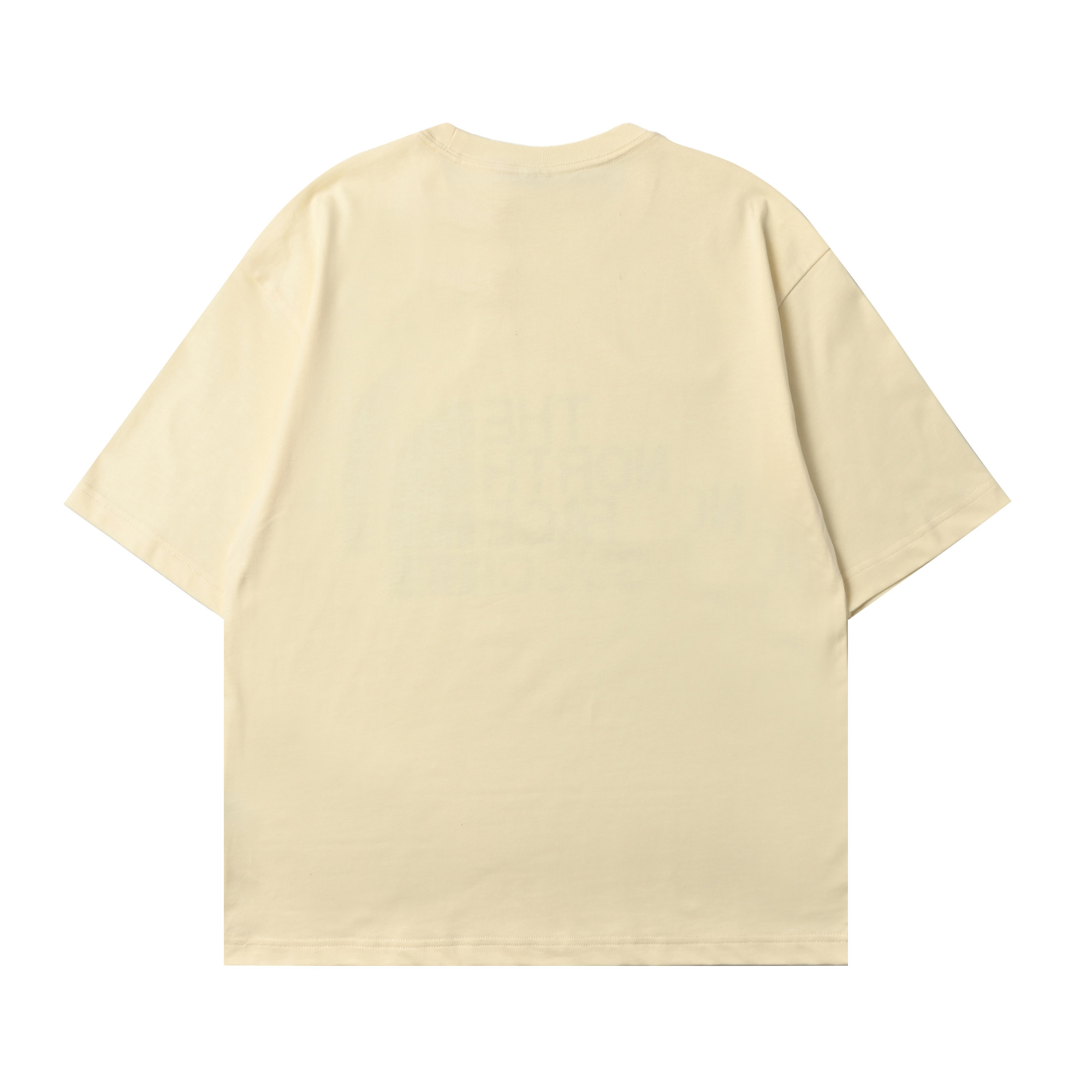 Gucci & The North Face 联名款印花logo短袖
