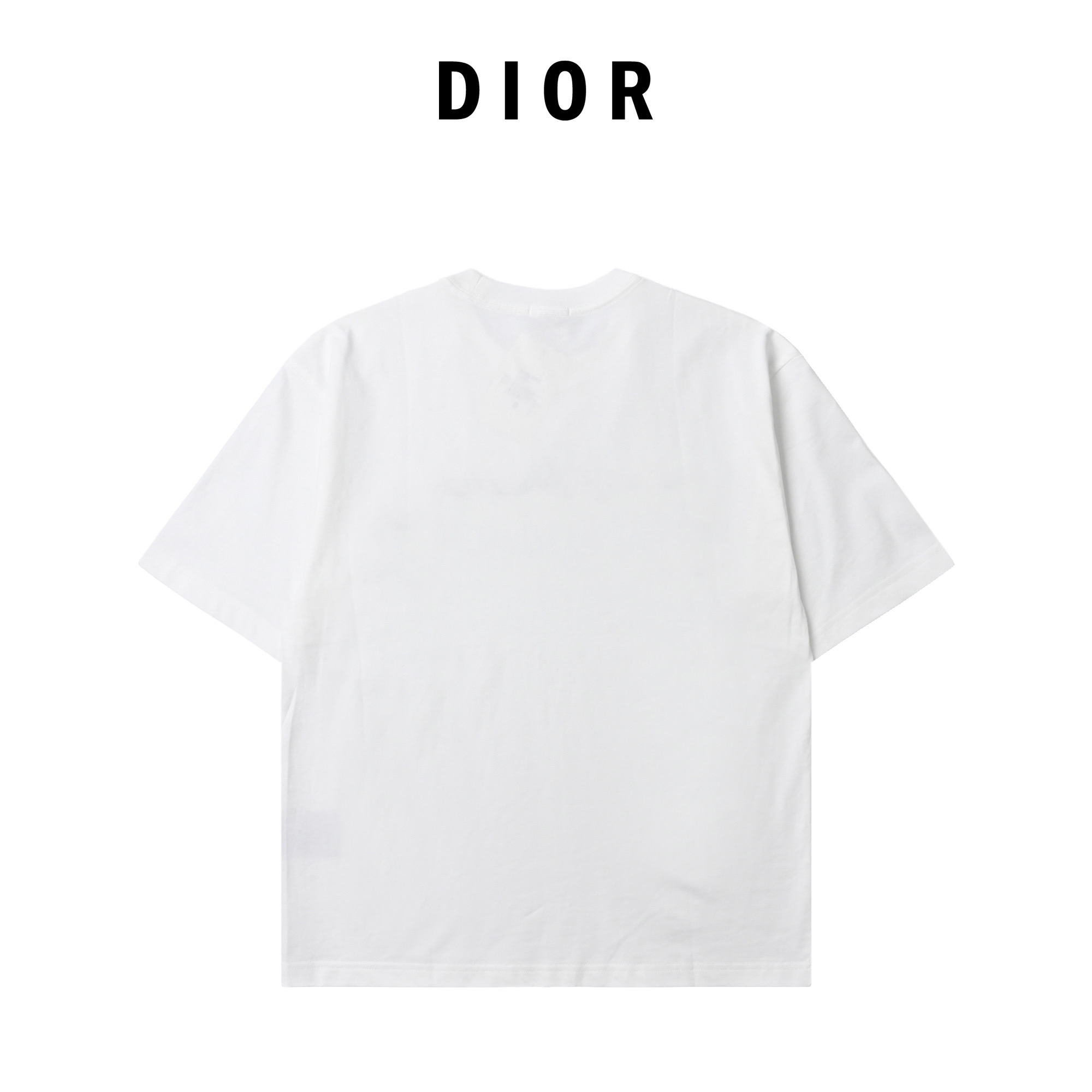 Dior 迪奥 花卉绣花短袖T恤 最新款dior彩色绣花款 最高品质绣花后+印花