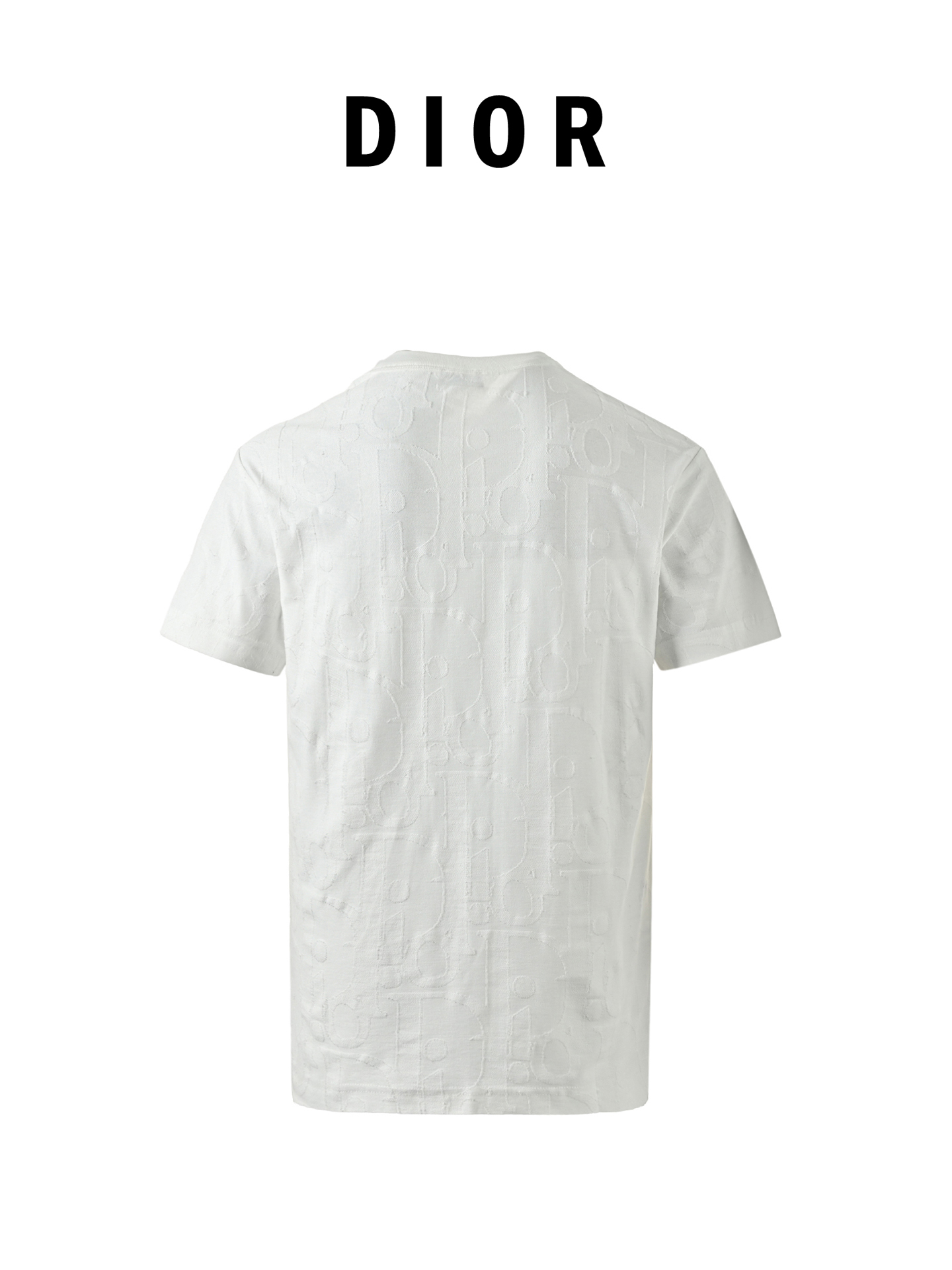 Dior 迪奥 Obliave 满幅毛巾刺绣短袖