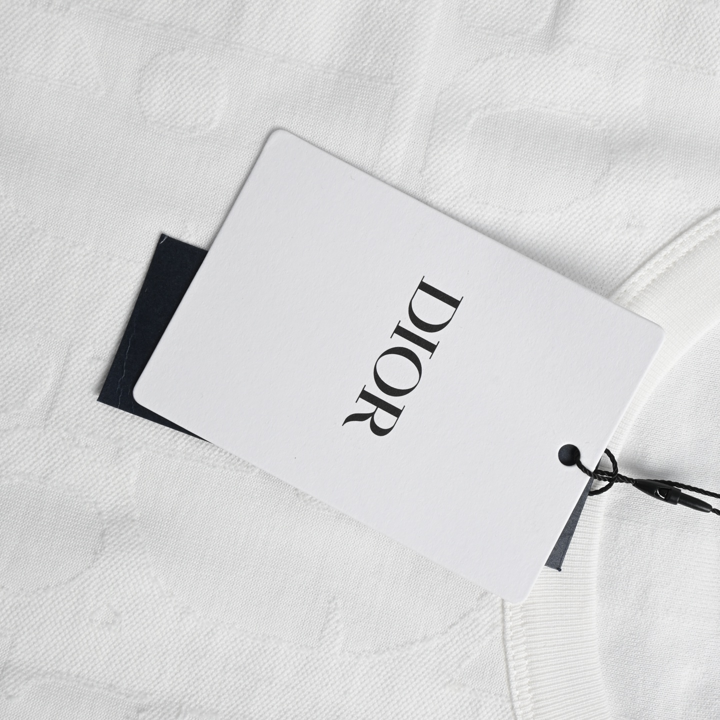 Dior 迪奥 Obliave 满幅毛巾刺绣短袖