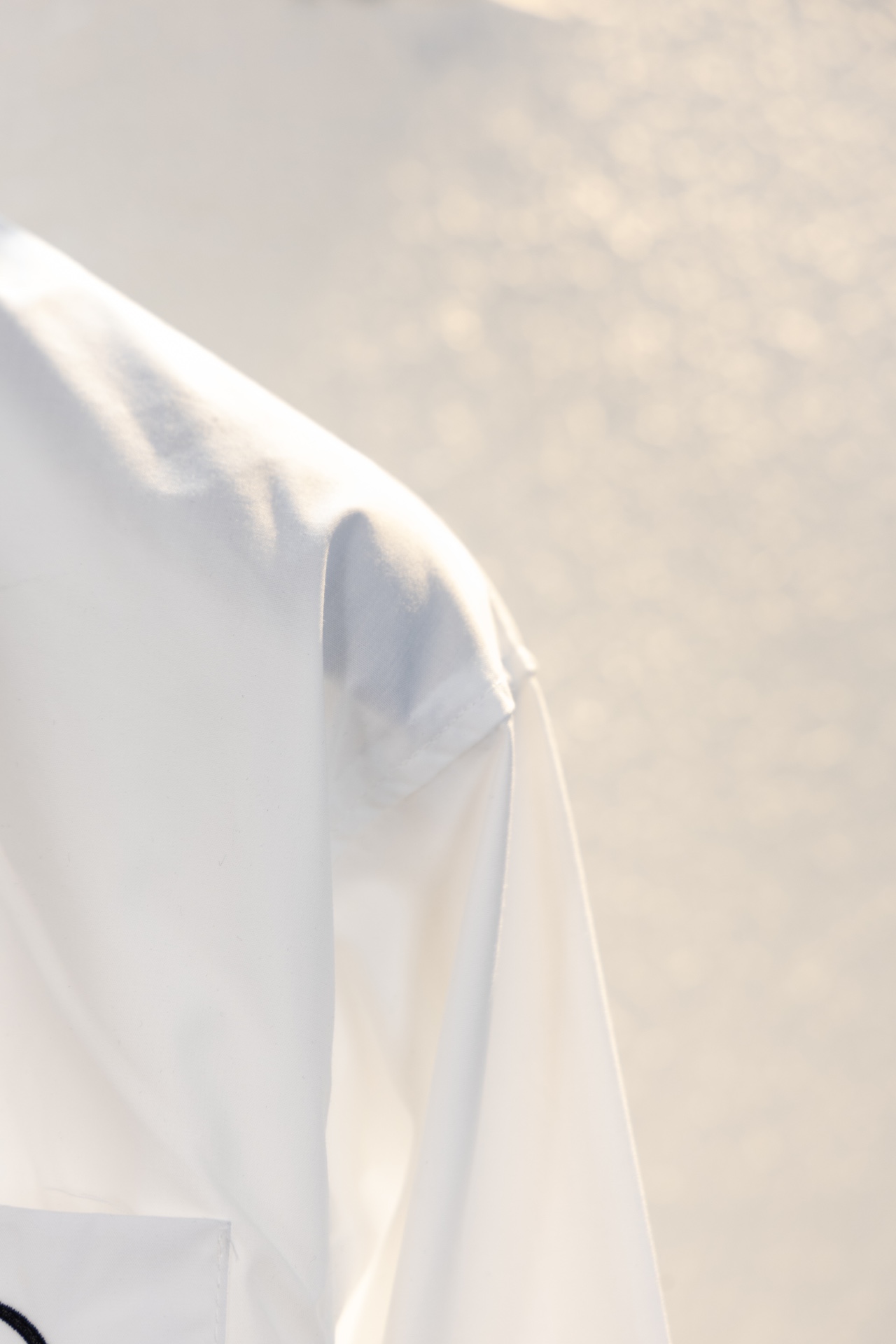 Luxurious Loewe Shirt in Custom Soft Fabric with High-Quality Embroidery - 图片 7