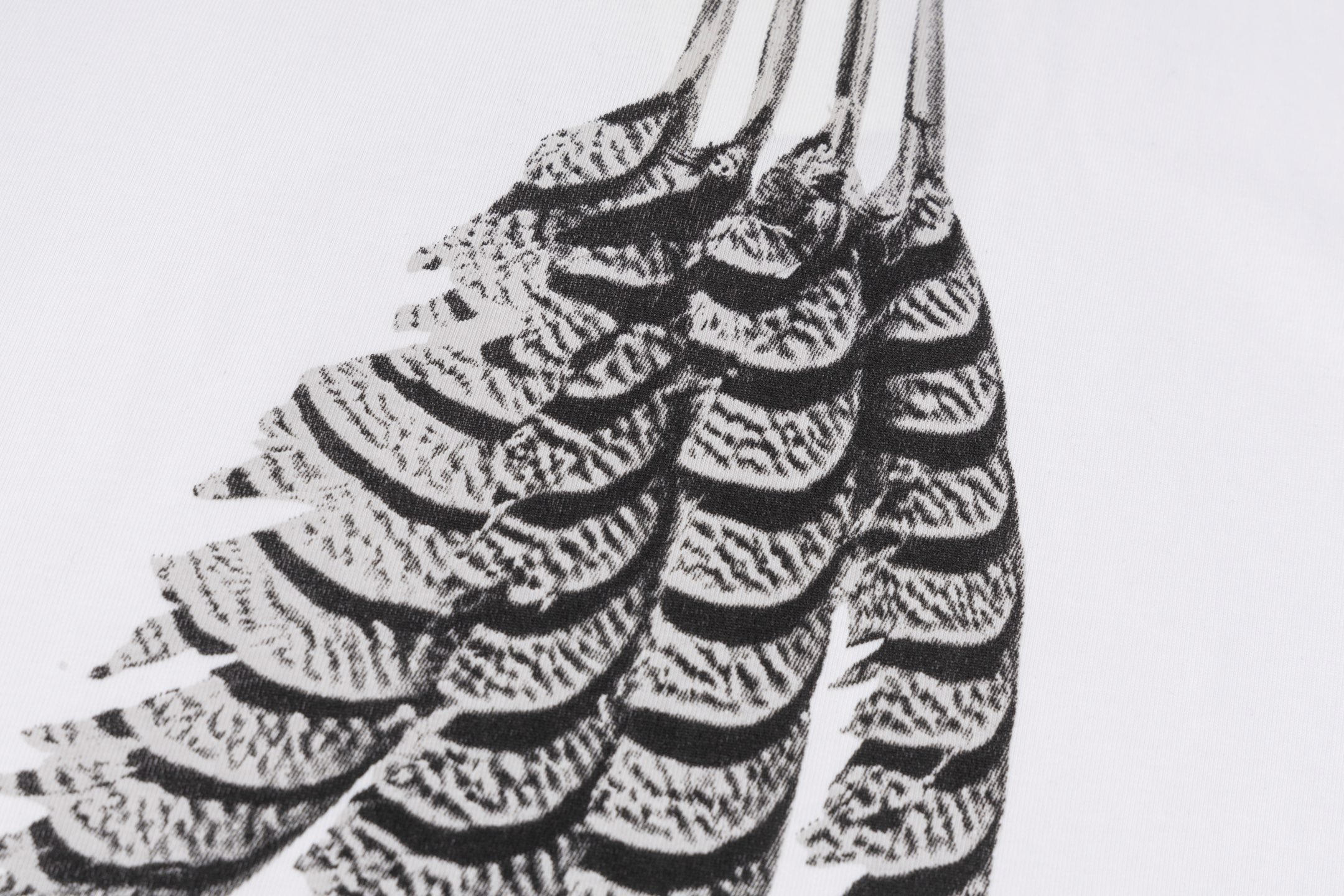 Top Edition Loewe Loywe Fly Star T-shirt with 3D Embroidery and Digital Prints - 图片 7