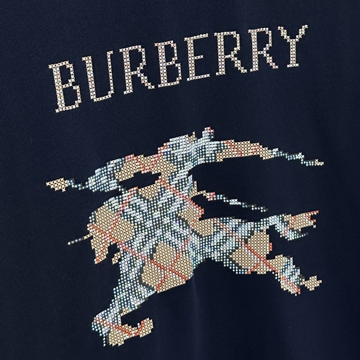 Burberry Spring/Summer Set: War Horse Print, Rhinestone Detail, Unisex Design 6 i1748885630890 7732 0 4