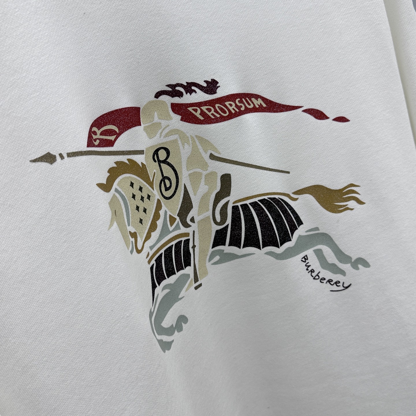 🆕Burberry巴宝莉 25FW早秋新款圆领卫衣，男女同款！独特吸引人的眼球，这一款卫衣品相品质都在线