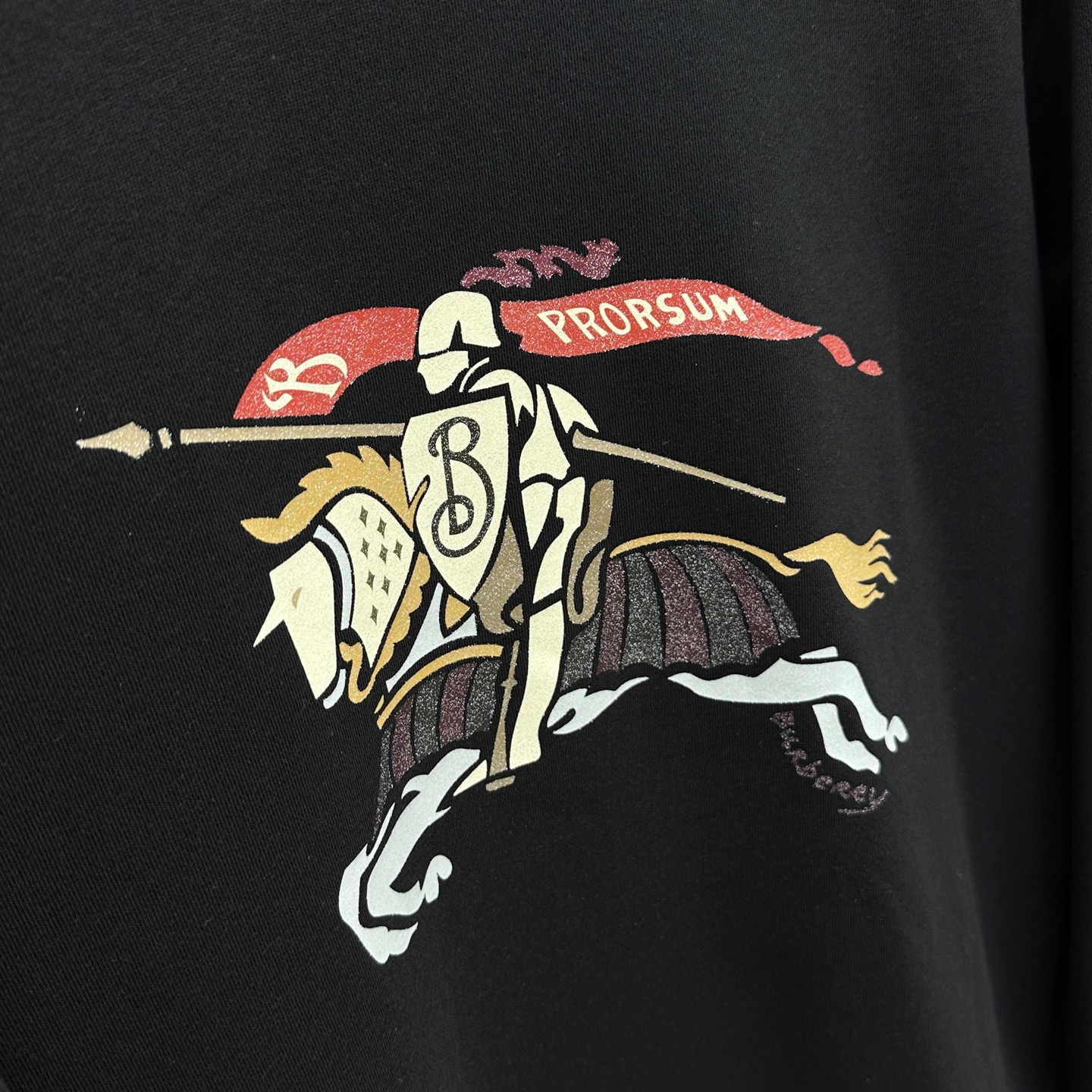 🆕Burberry巴宝莉 25FW早秋新款圆领卫衣，男女同款！独特吸引人的眼球，这一款卫衣品相品质都在线