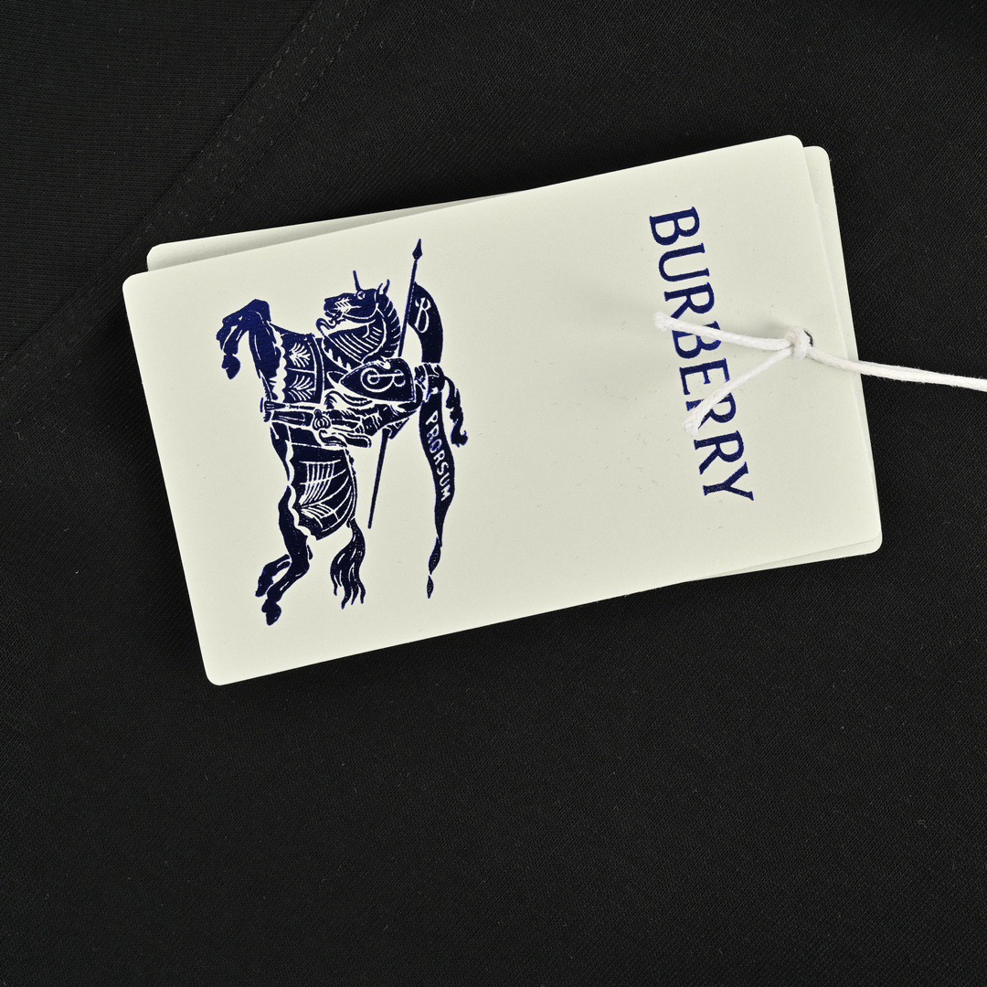 Burberry/巴宝莉 24ss 蓝色战马刺绣小标短袖