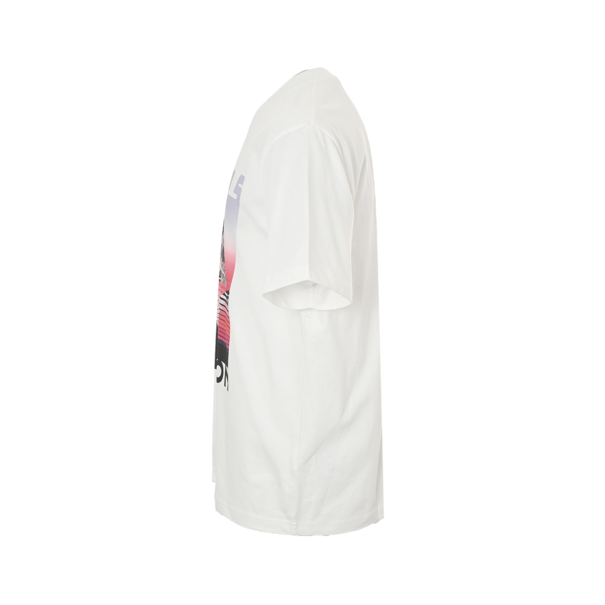 Louis Vuitton/路易威登 25ss 雪山印花短袖 本款 T恤