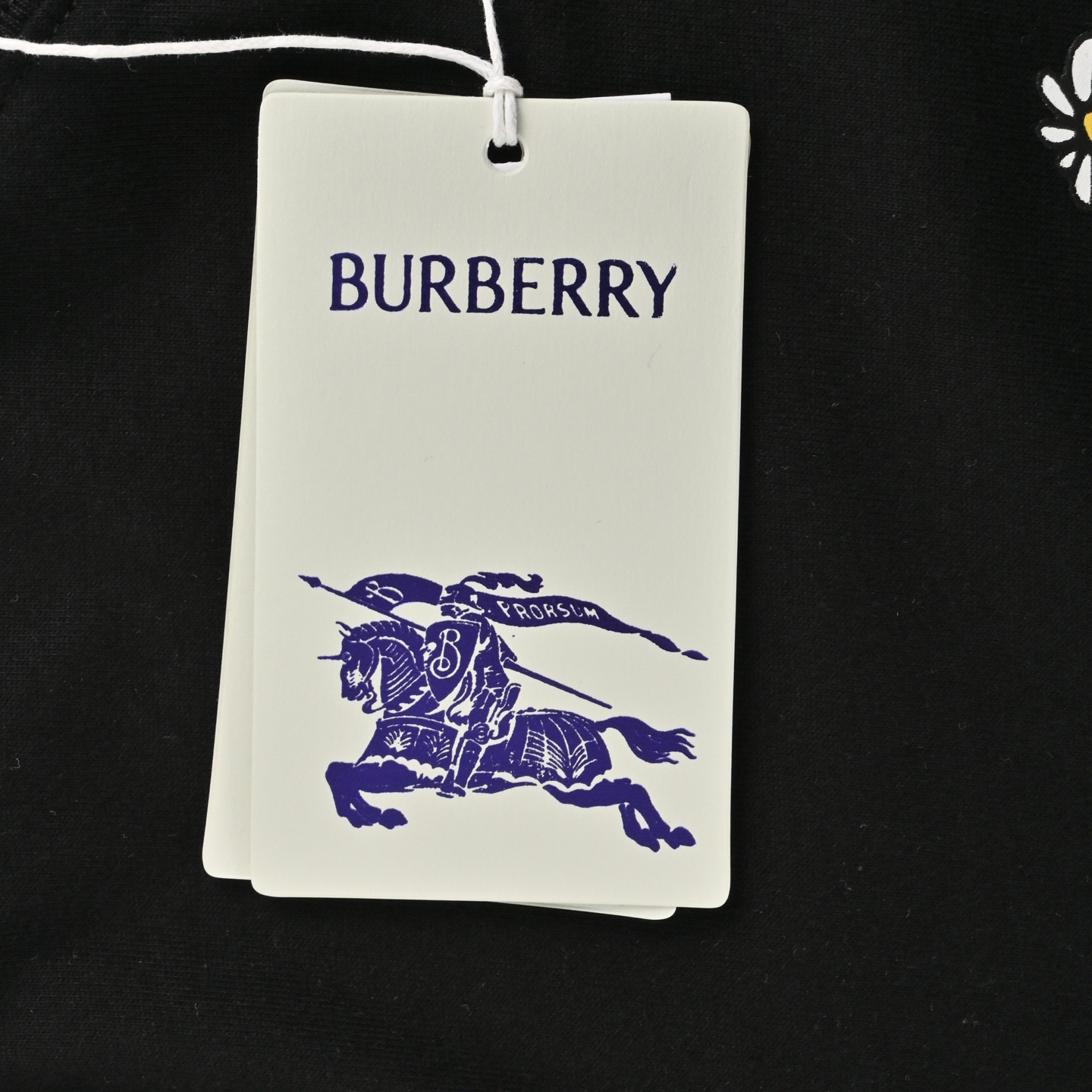 Burberry/巴宝莉 25ss 雏菊印花短袖