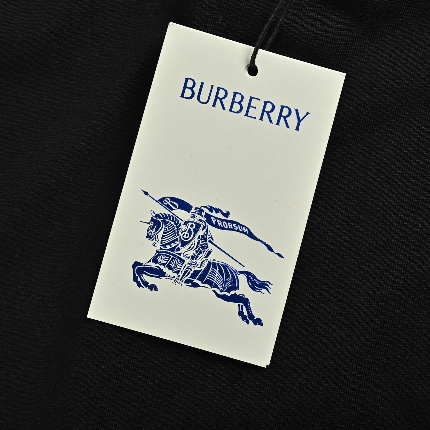 Burberry/巴宝莉 25ss 骑士战马发泡印花短袖