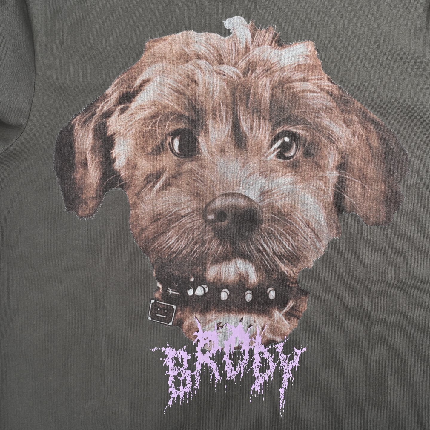 Acne Studios 狗狗印花短袖 今年夏天的大爆款修勾短袖 浅黑 米黄