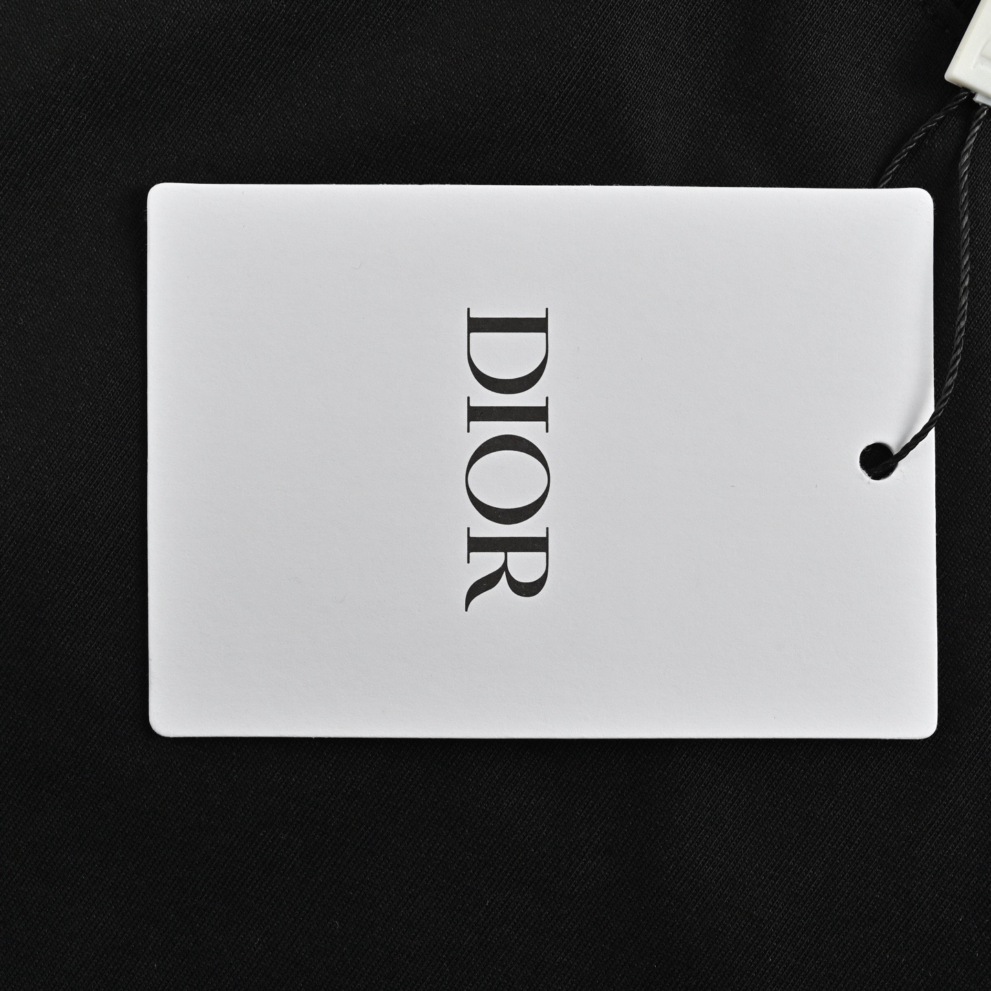 Dior/迪奥 25ss 植绒印花logo短袖