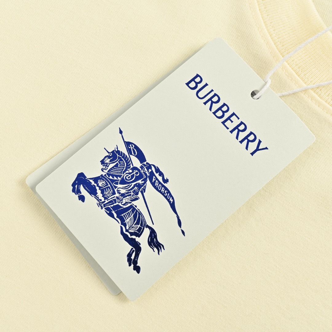 Burberry/巴宝莉 24ss 战马标识短袖