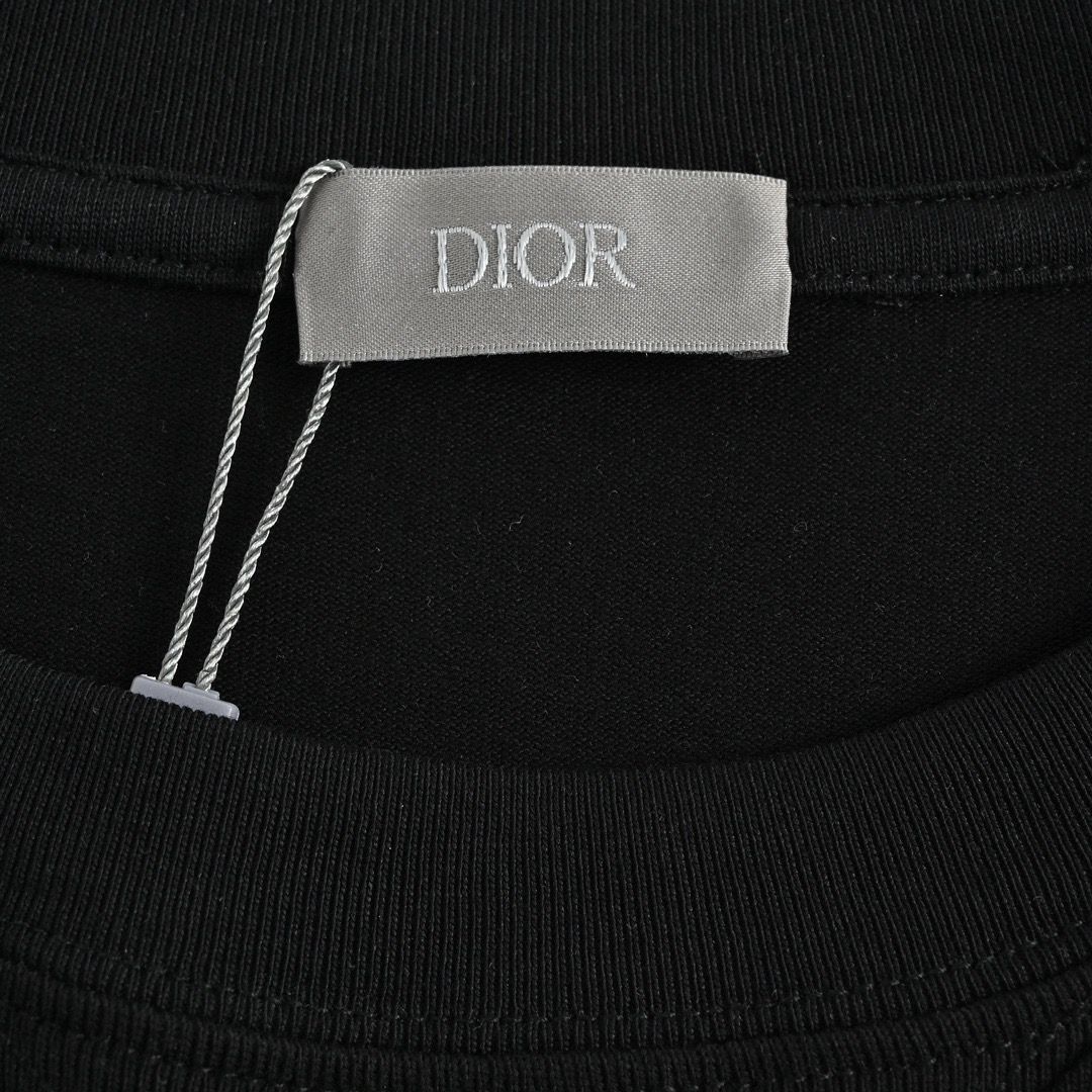 Dior /迪奥 23ss 刺绣银标logo短袖