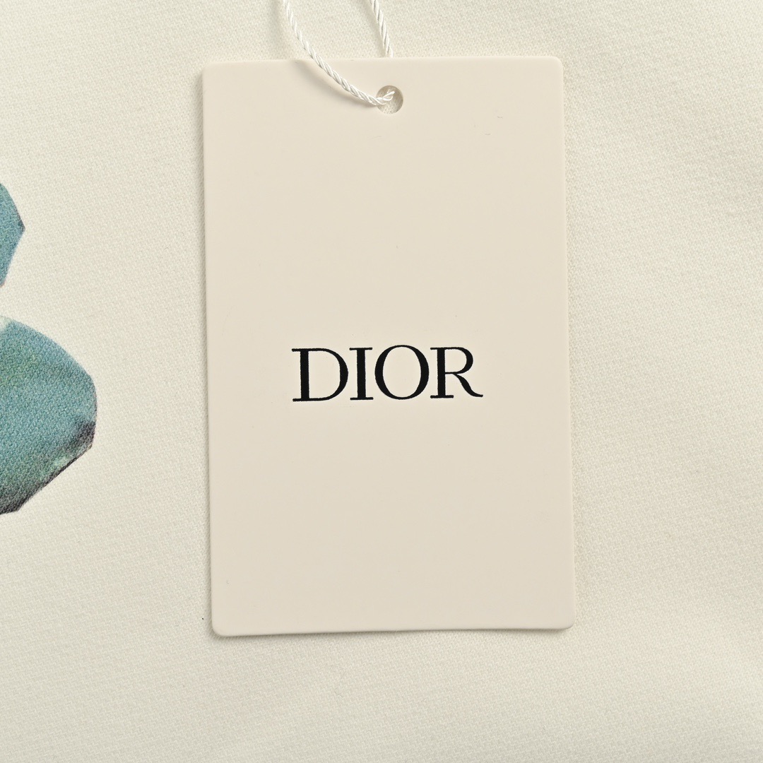 Dior/迪奥 24Fw 萝卜头印花圆领卫衣