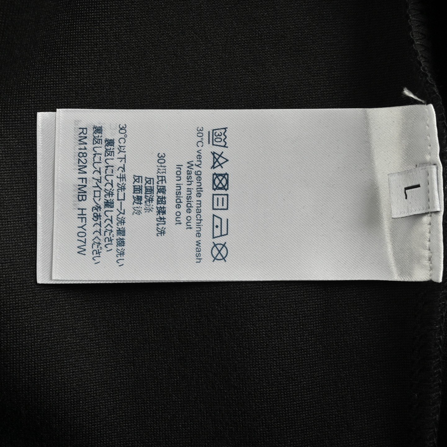 Louis Vuitton/路易威登 25Fw 鲤鱼风景印花连帽卫衣
