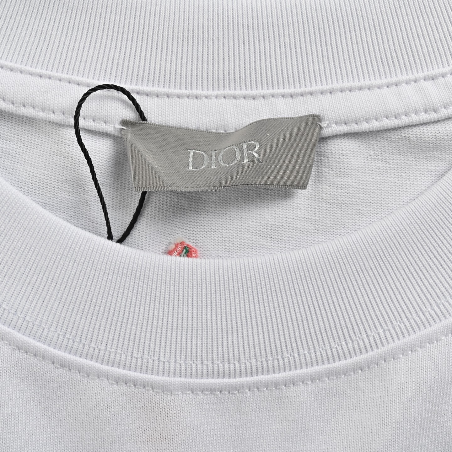 Dior 迪奥 25ss 滑雪系列刺绣徽标短袖