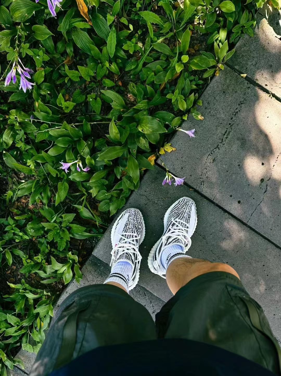 椰子350系列 卖了N年了 反馈一直都很好